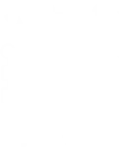 Government Petition Details